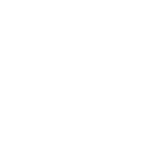 Bitcoin Icon